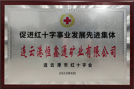 促进红十字事业发展先进集体